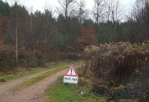 Heute Jagd