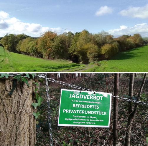 Grundstück Barabara Schwarz jagdfrei